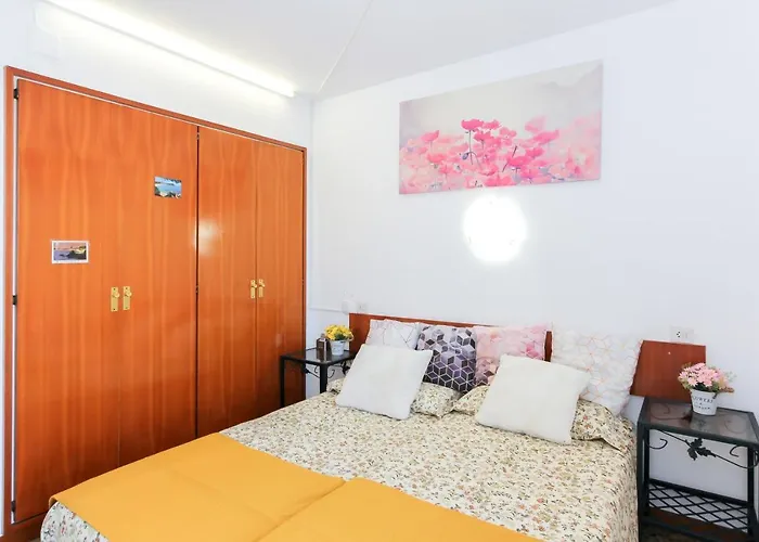 Disa 滨海略雷特